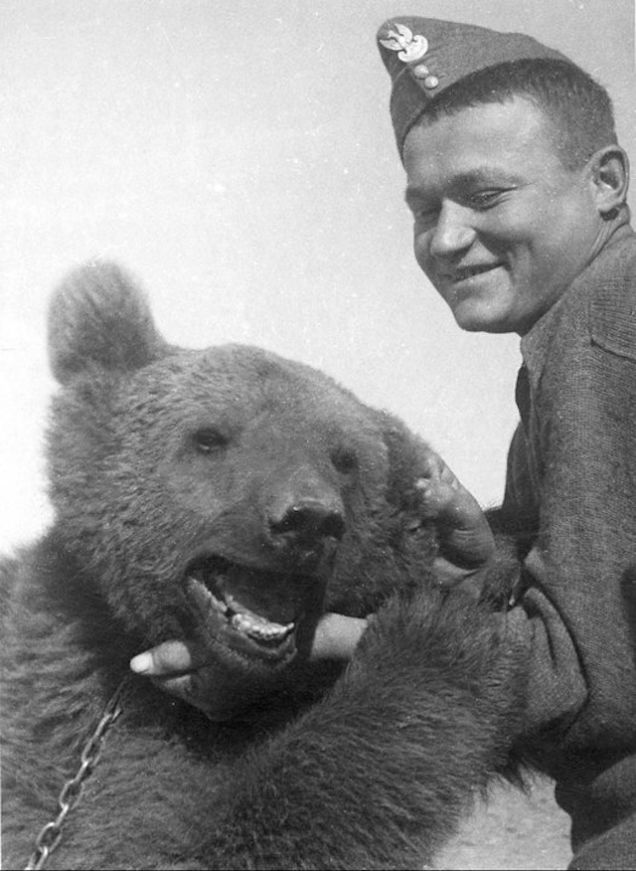 Niedźwiedź Wojtek