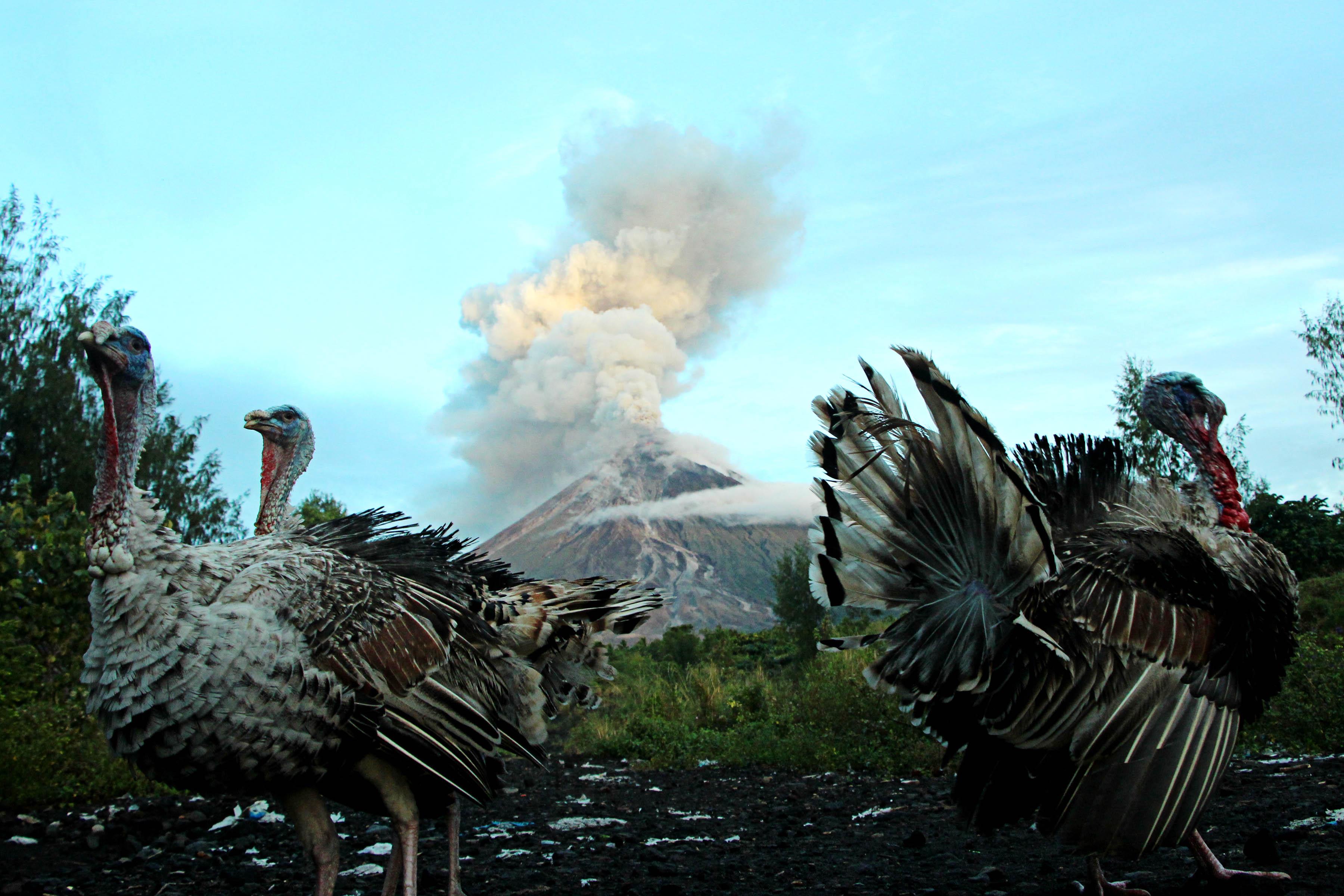 Mount Mayon Volcano Erupts In Philippines