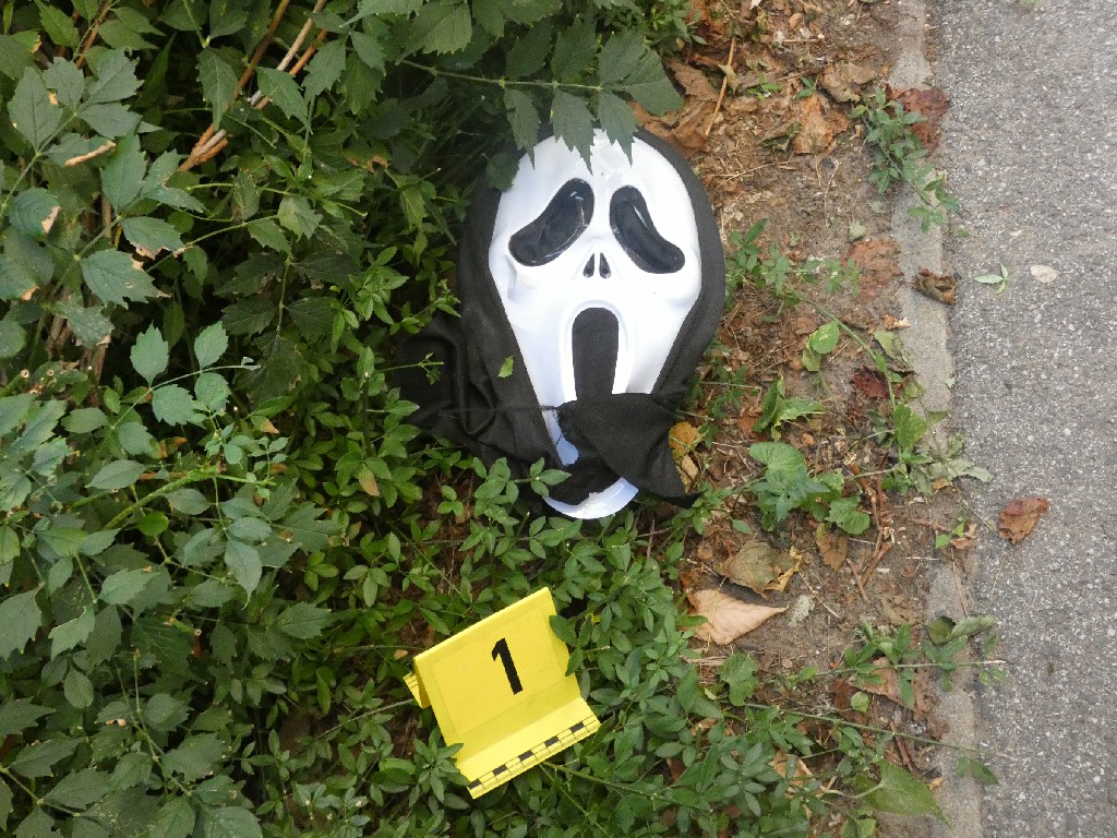 Elfogták a magyar rendőrök a sikolymaszkos bűnözőt – videó