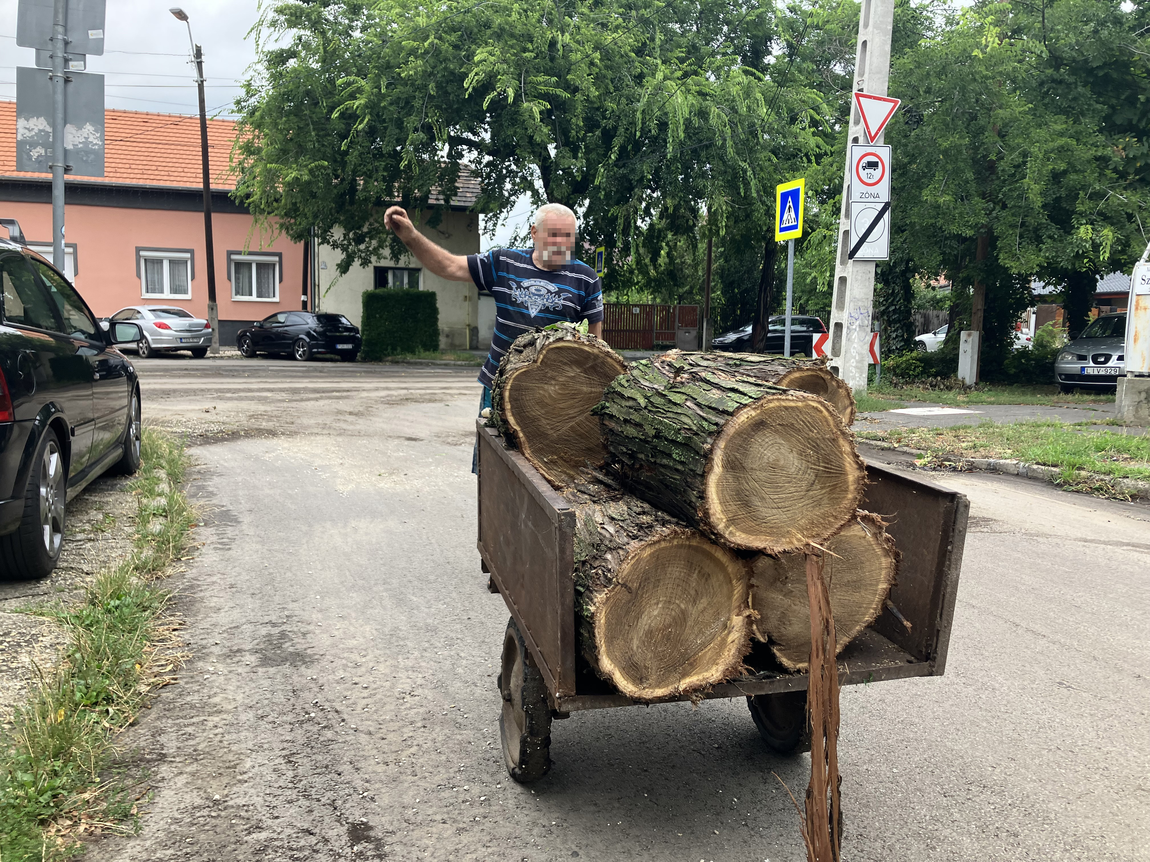 Feldarabolják és talicskán tolják el az év vihara után kidőlt fákat – fotók