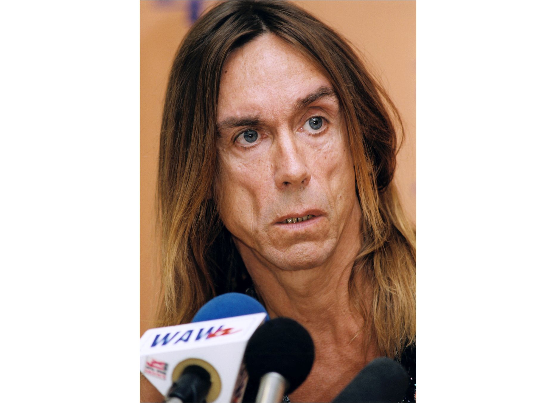 Iggy Pop