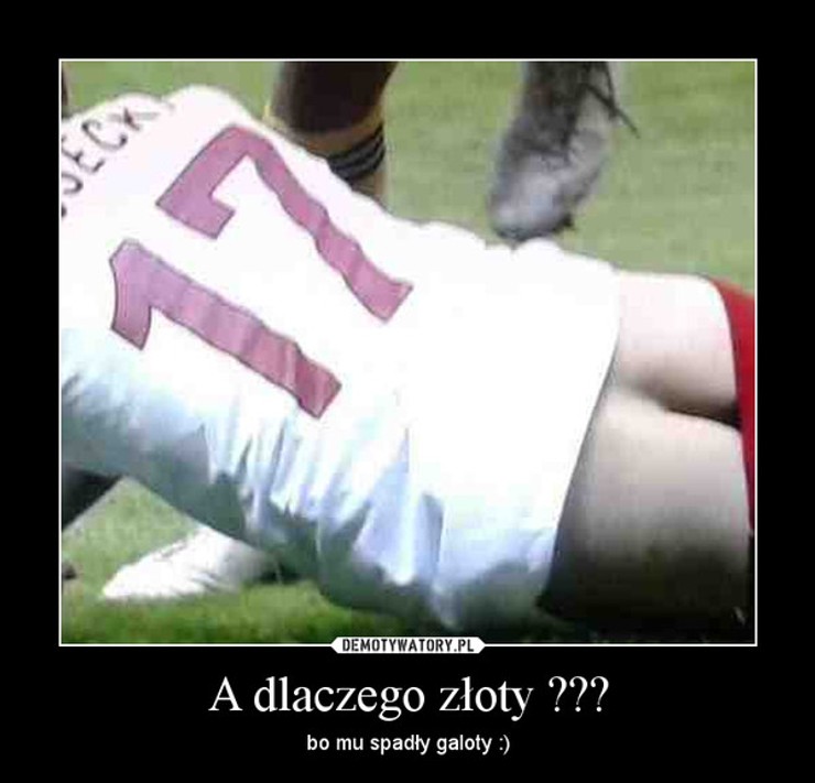 Obrazek