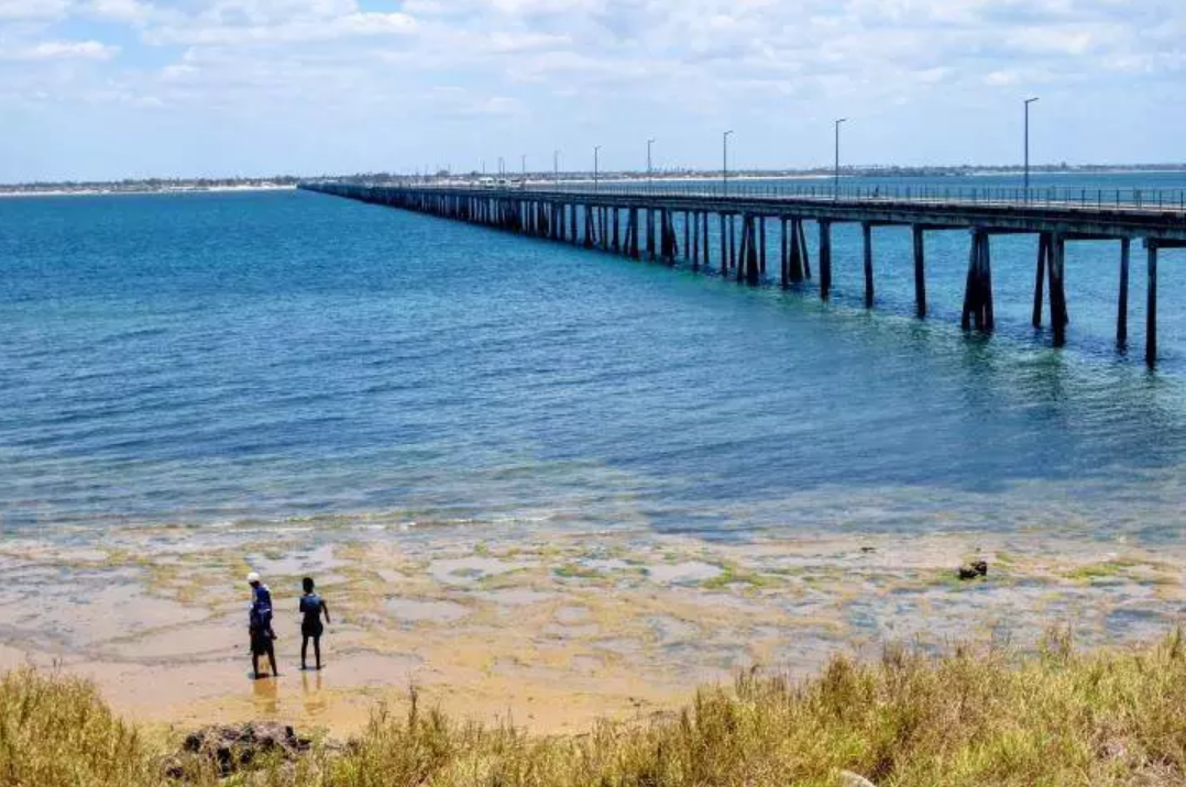 Mozambique Island Bridge. [Opera news]