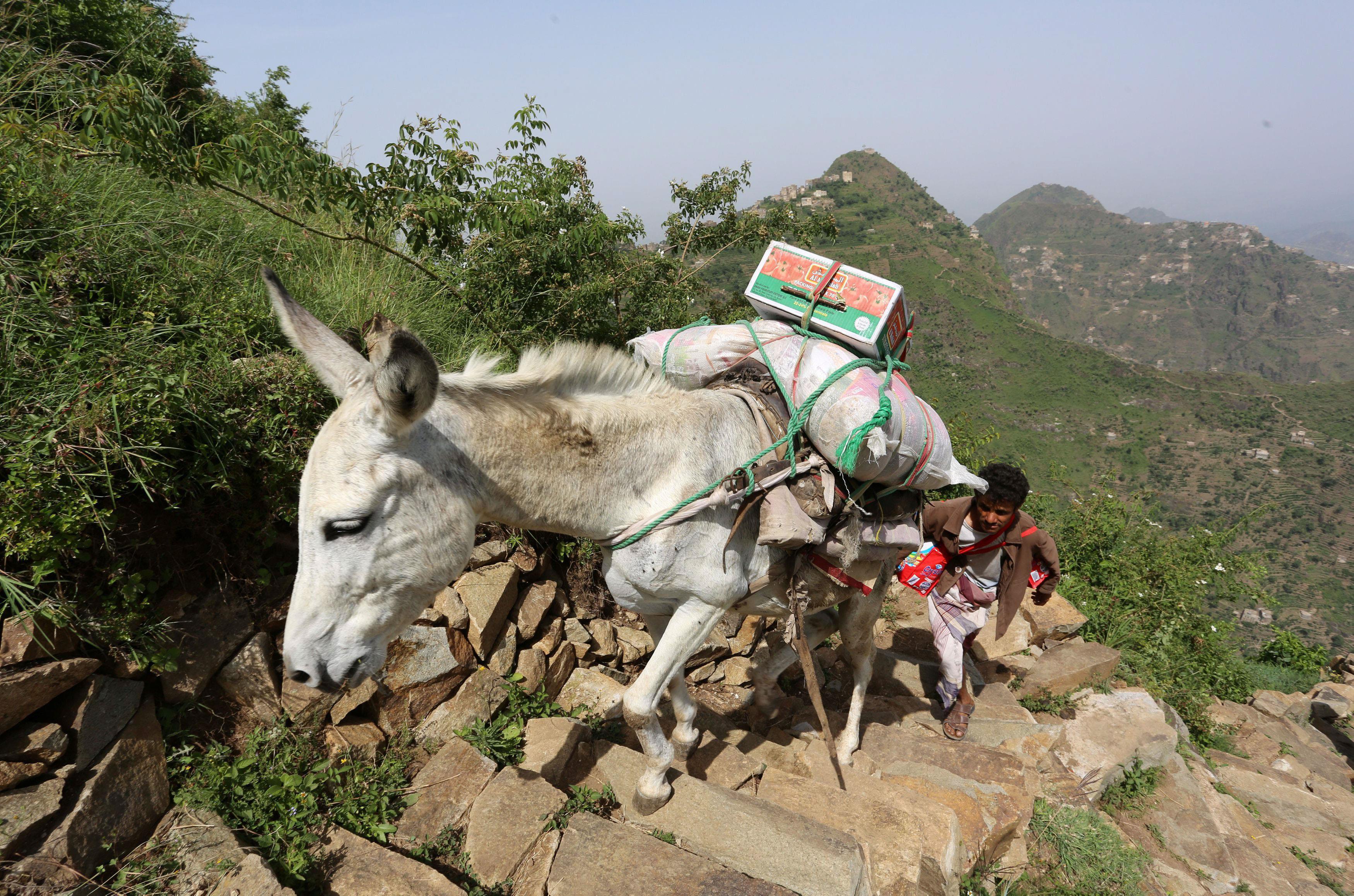 The Wider Image: Living on a mountaintop