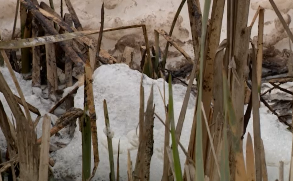 Mi lehet ez? Napok óta habzik egy patak Pest vármegyében – videó