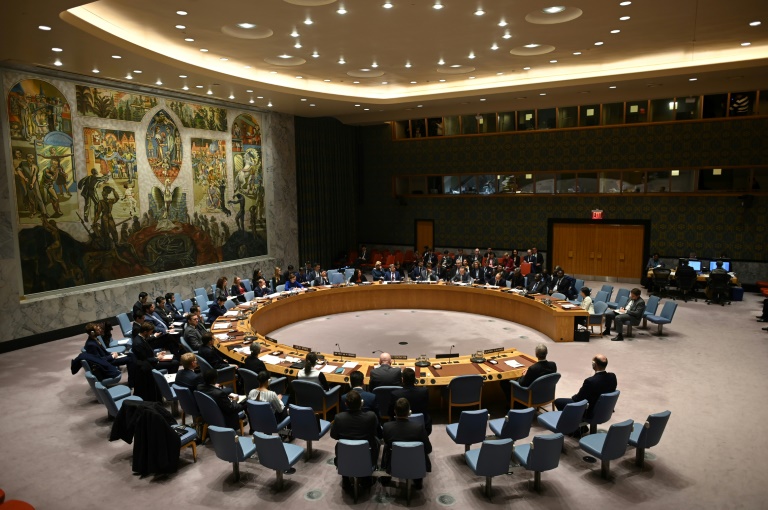 2 African countries secure spots on UN Security Council