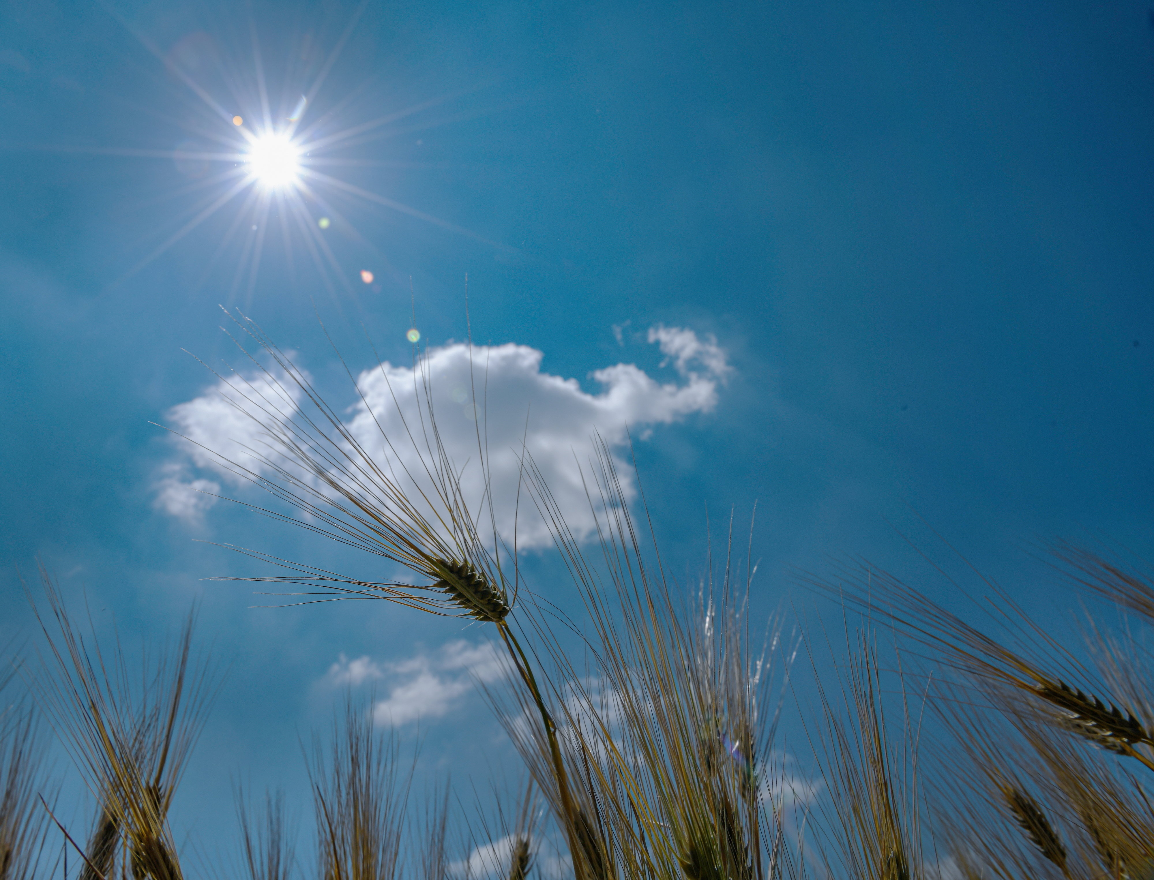 Hihetetlen, de igaz: megdőlt ma a melegrekord - Ebben a magyar városban 18 fokot mértek