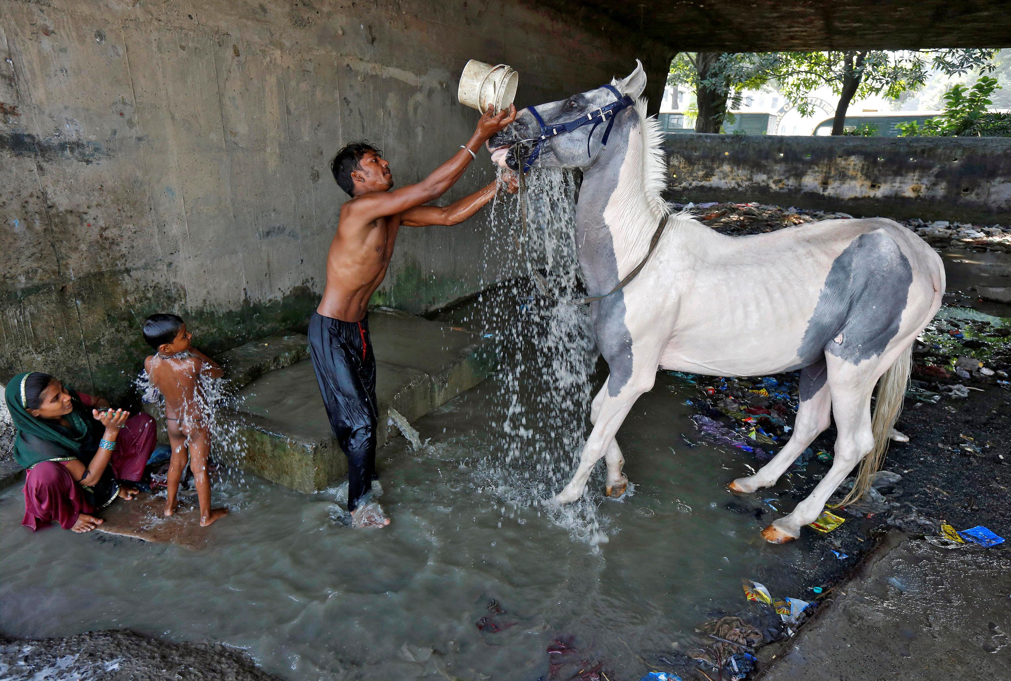 A man washes his horse as a woman bathes her son at concrete water pens under a flyover in a slum ar