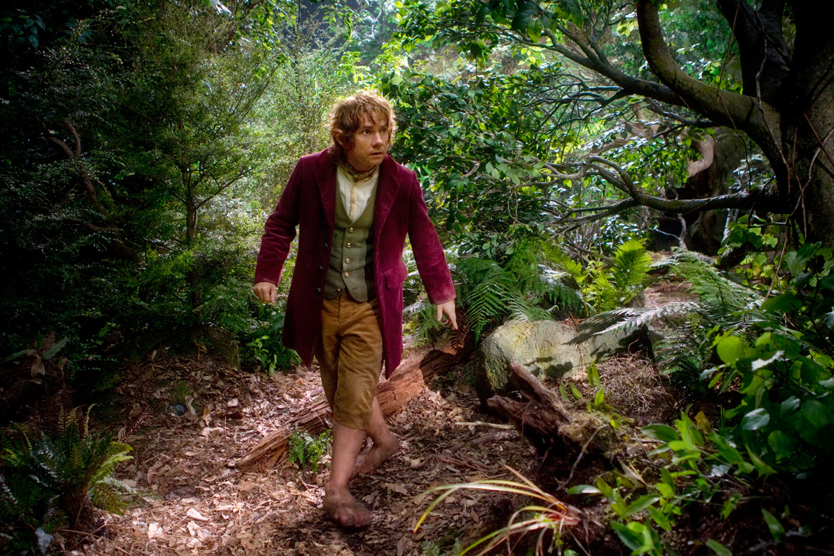 Młody hobbit Bilbo Baggins razem z trzynastoma krasnoludami i czarodziejem Gandalfem, wyrusza na niebezpieczną wyprawę do Samotnej Góry. W jaskini Golluma znajduje magiczny pierścień, który czyni go niewidzialnym