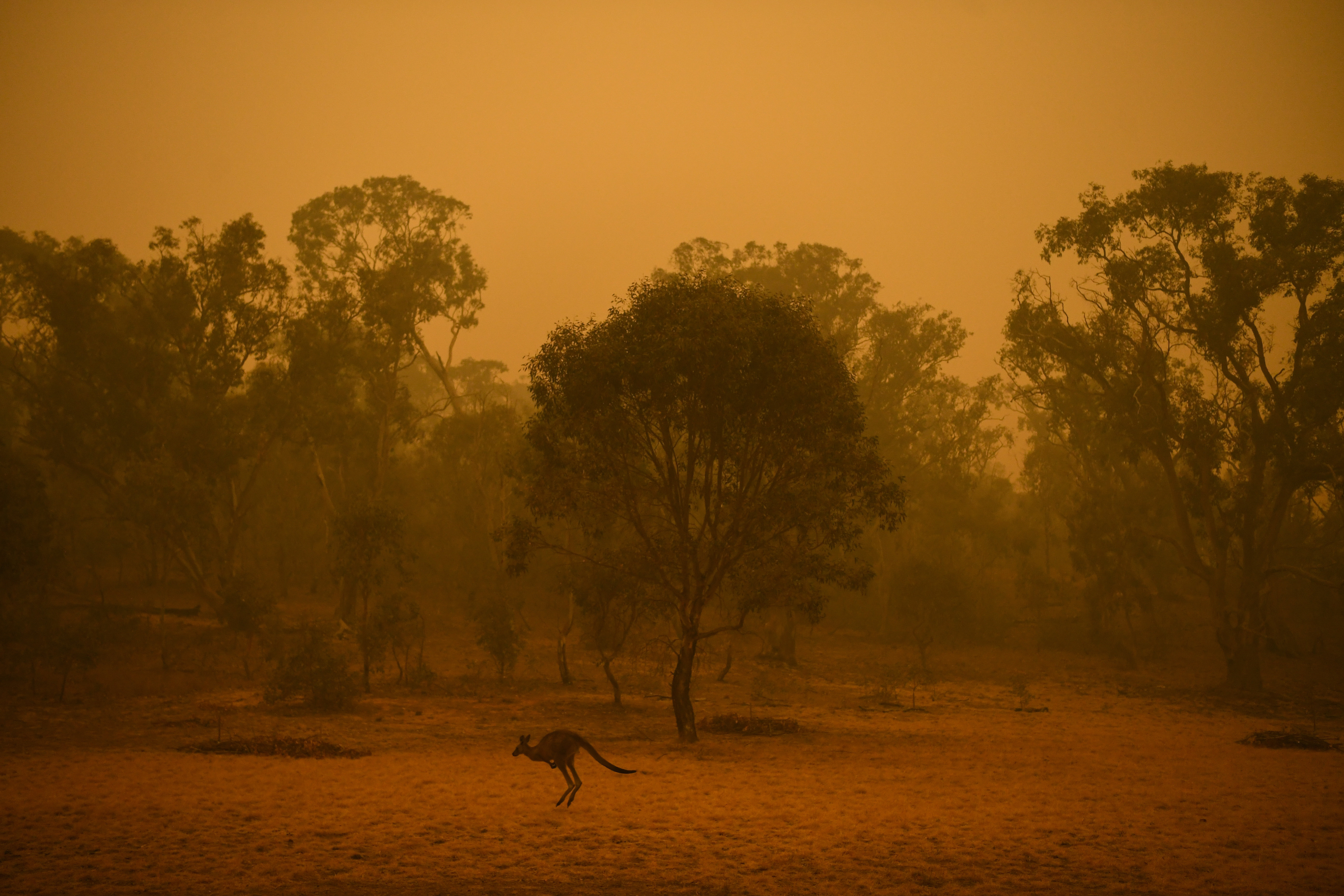 Ausztrália fellélegezhet: szakad az eső a déli partokon - Blikk