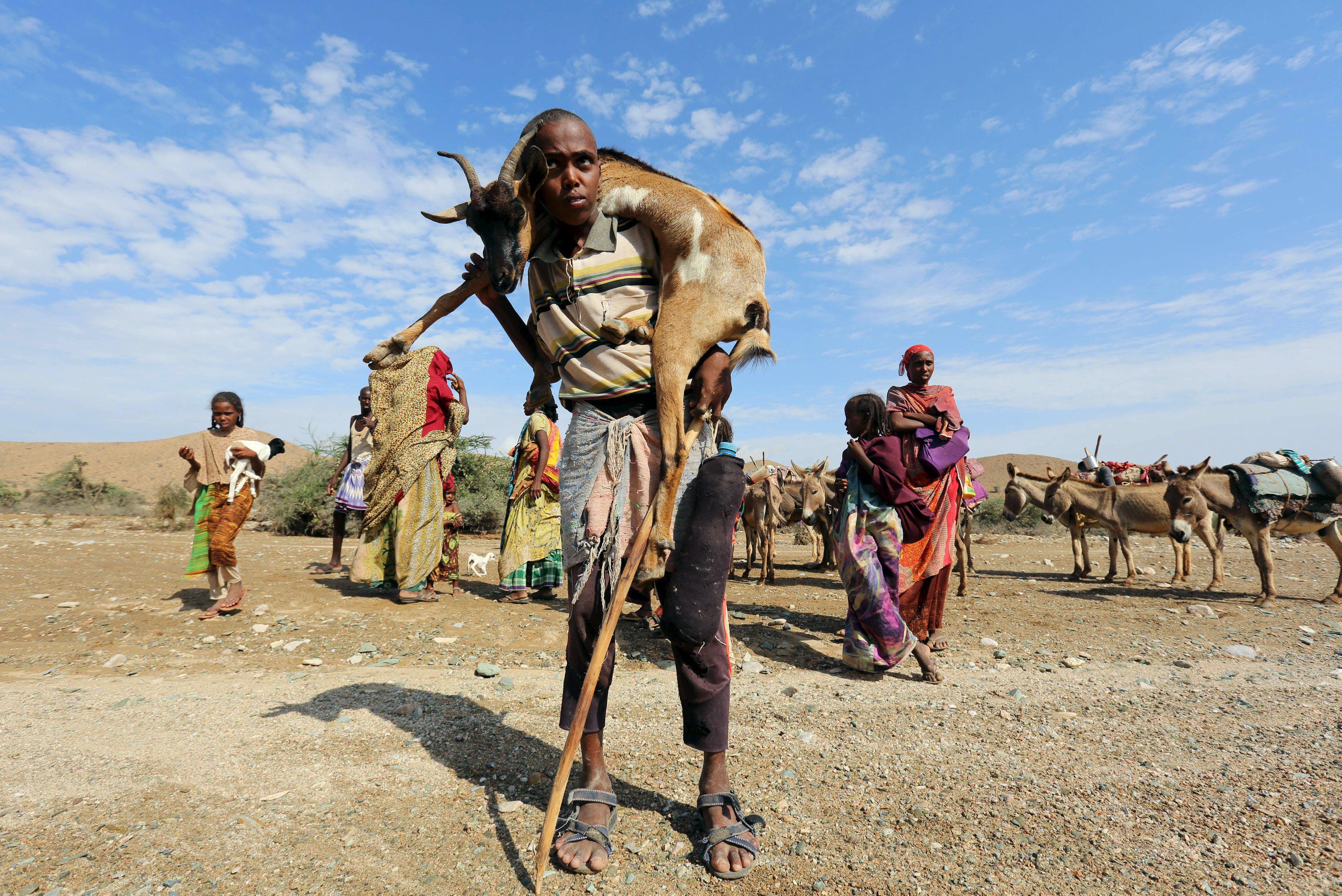 The Wider Image: Struggle for survival in Somaliland