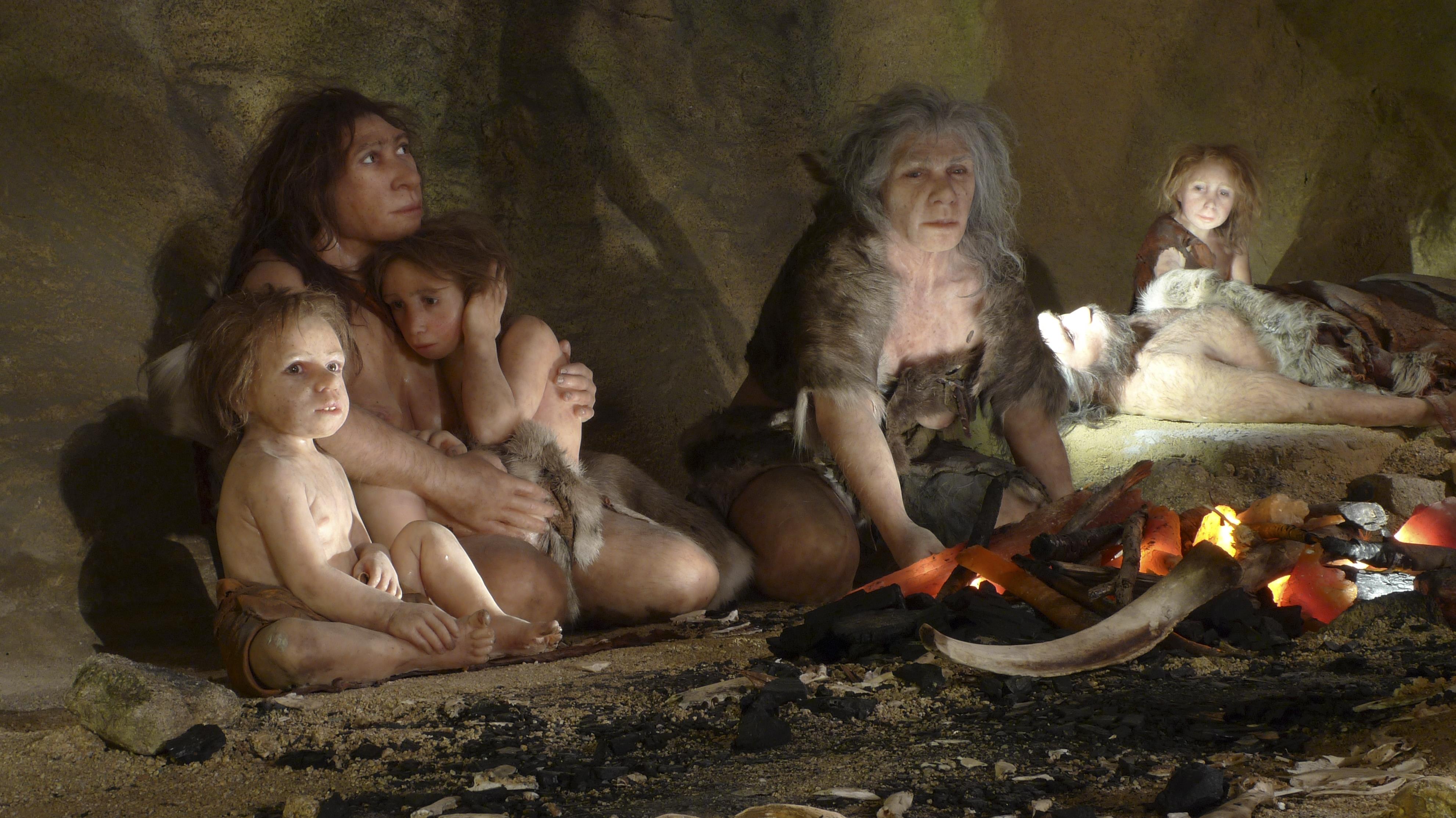 File photo of an exhibit showing the life of a neanderthal family in a cave in the new Neanderthal M