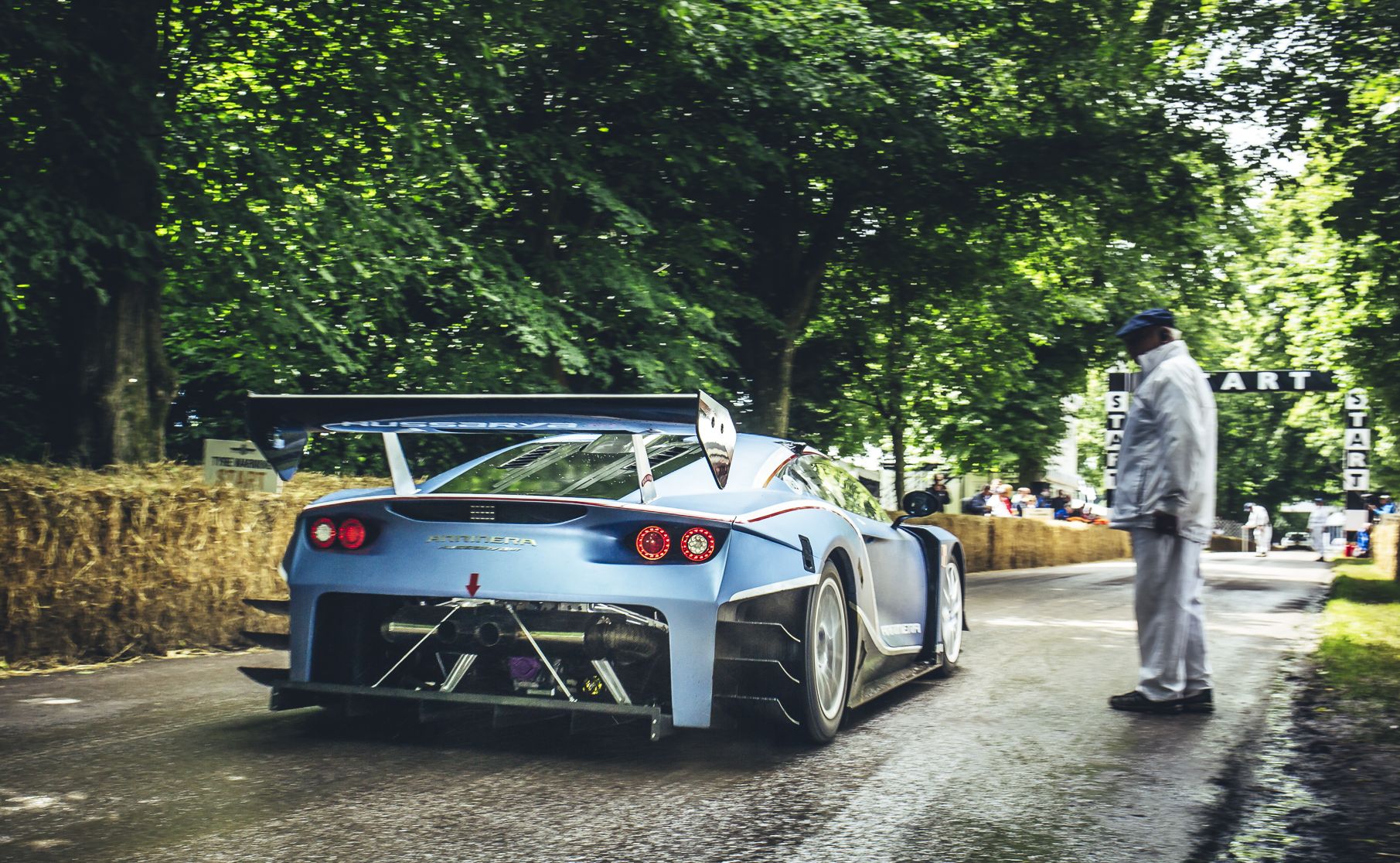 Arrinera hussarya GT