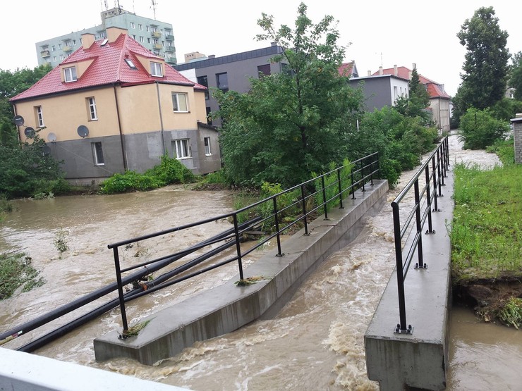 http://ocdn.eu/images/pulscms/OWI7MDMsMmU0LDAsMSwx/602b872840168a06cef7703aab7e131a.jpeg