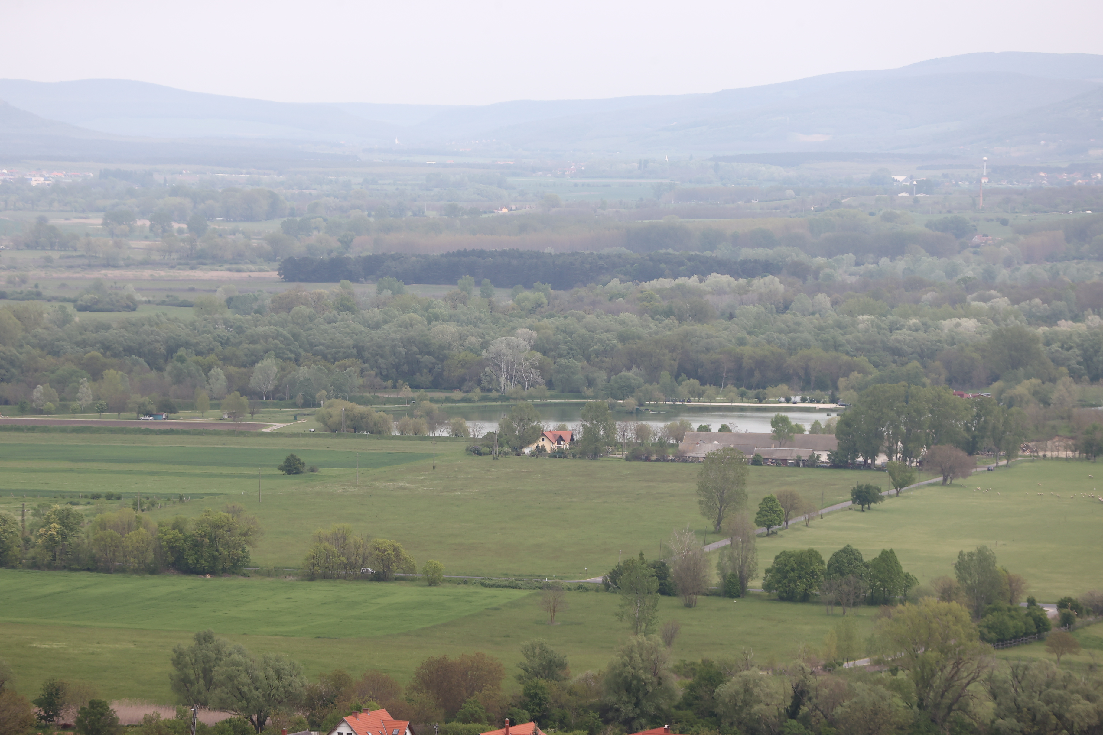 Magyarországi tóban él a világ legnagyobb pontya: 50 kiló és jobban őrzik, mint a nemzet aranyát, nem horgászhat rá bárki – fotók