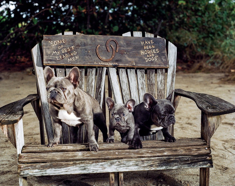 fot. Bruce Weber / VOGUE
