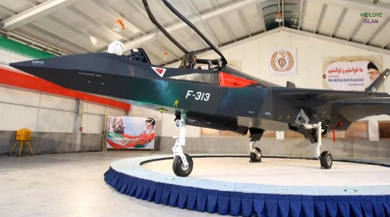 F-313