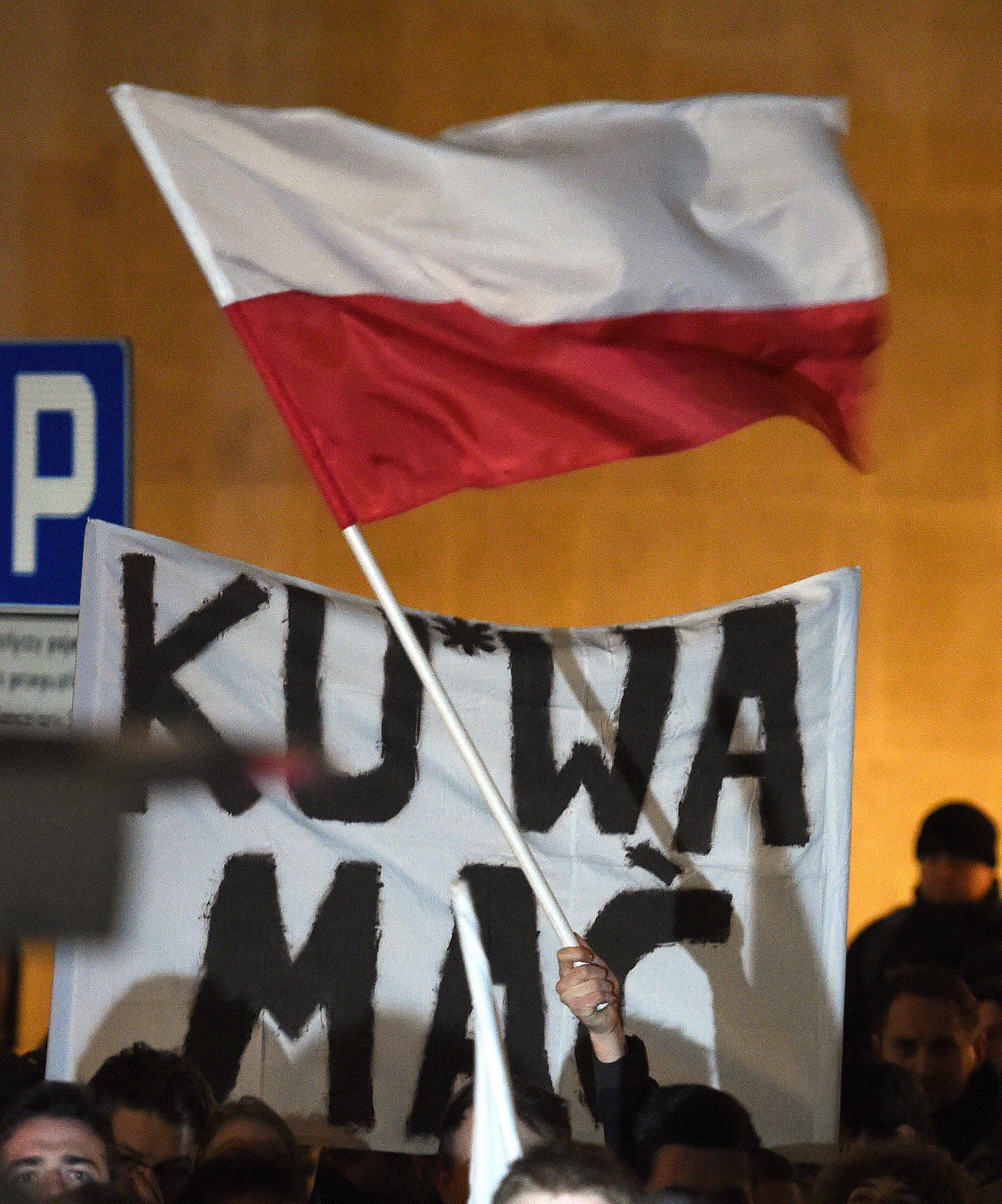 Wśród demonstrantów są między innymi Janusz Korwin-Mikke, Przemysław Wipler oraz Krzysztof Bosak. Przemawiał Robert Winnicki, lider Ruchu Narodowego...
