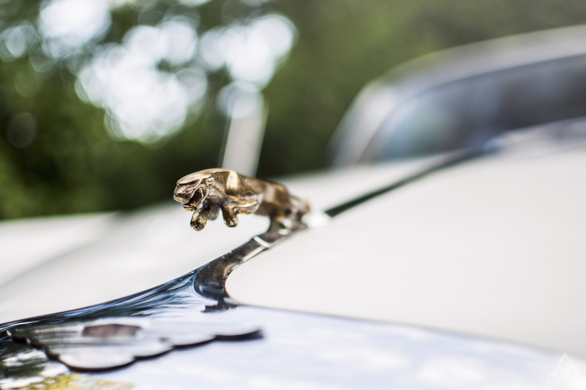Biały jaguar mark X trafił do właściciela pod Tarnowem, gdzie przeszedł gruntowną i fachową renowację z wykorzystaniem oryginalnych częściach sprowadzonych z zagranicy. - Znaleziony pod Tarnowem przez zespół Ardor Auctions jaguar mark X przez wiele lat był praktycznie nieużywany, jednak stan techniczny w jakim został odkryty budzi podziw. Lakier i blacharka są dobrze zachowane, a silnik o pojemności 3,8 litra i mocy 269 koni mechanicznych działa doskonale. Samochód został wyprodukowany w 1963 roku, w czasach świetności tej marki. Mimo, że mark X jest typową angielską limuzyną, to praktycznie cały układ napędowy został przeniesiony ze sportowego modelu e-type - opisuje szef domu aukcyjnego.