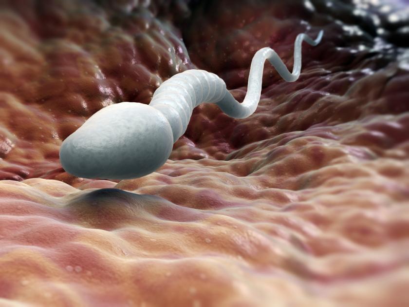 For men: 6 things you are doing that is lowering your sperm count