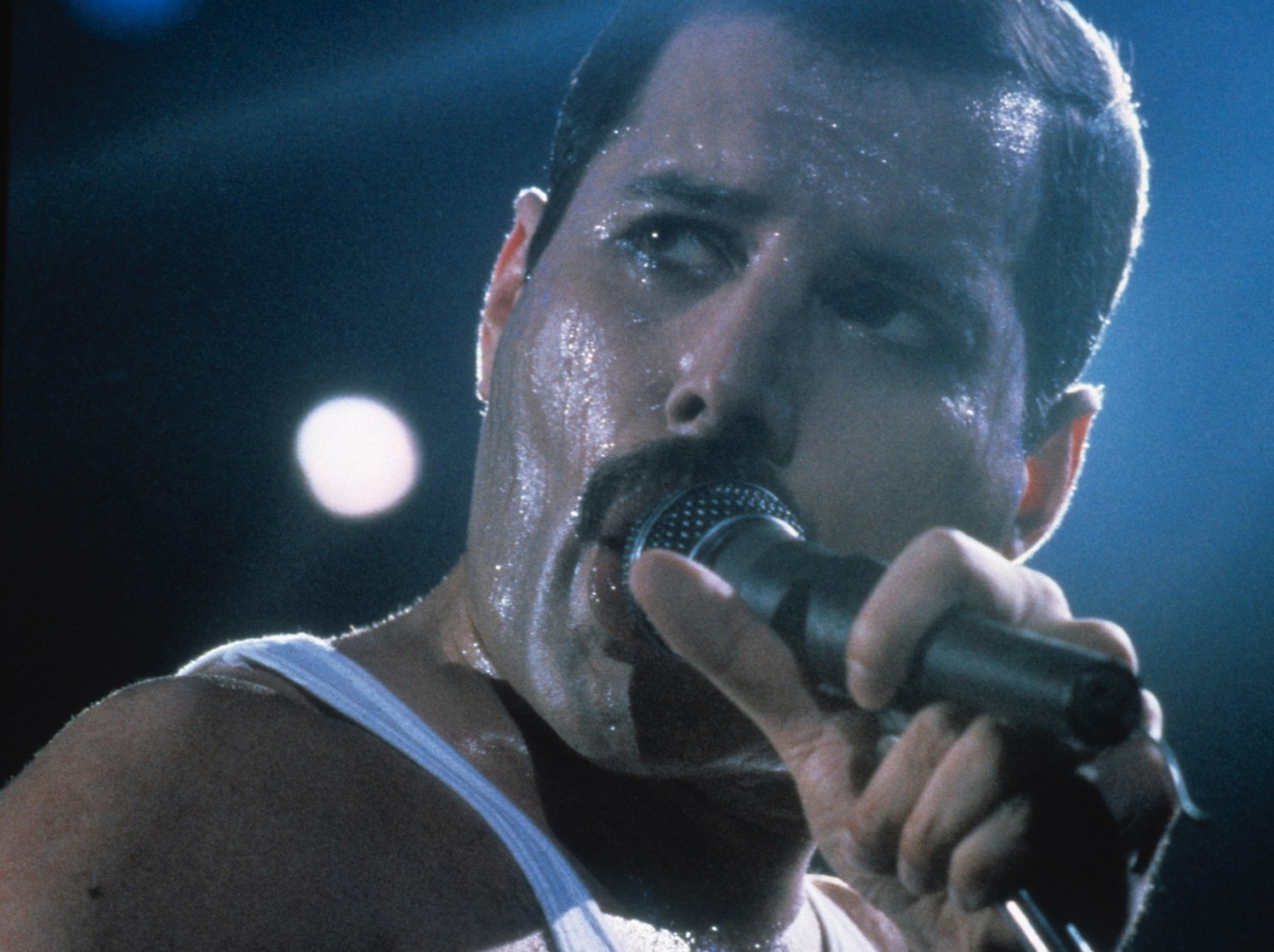 Freddie Mercury (1946 - 1991)