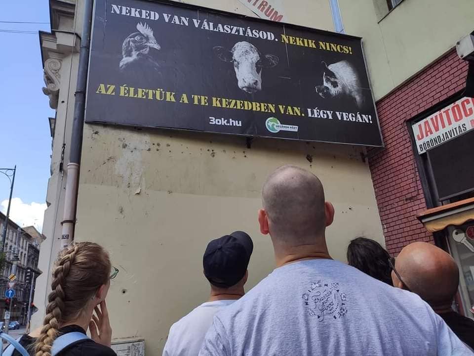 Művérben ázott, lefóliázott emberekkel sokkolták a strandolókat vegán aktivisták a Balatonon