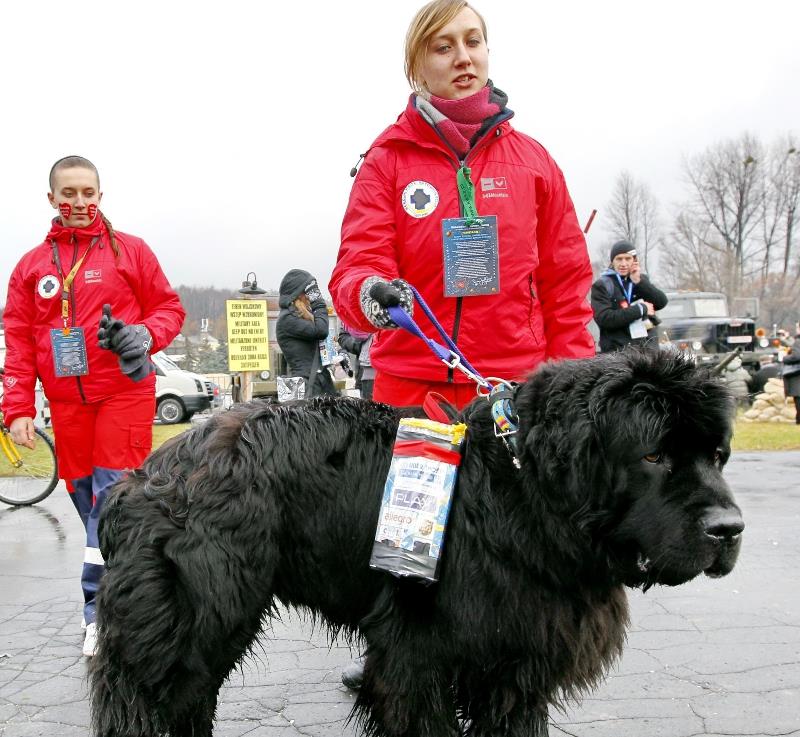 WOŚP 2012 ratowniczka z psem