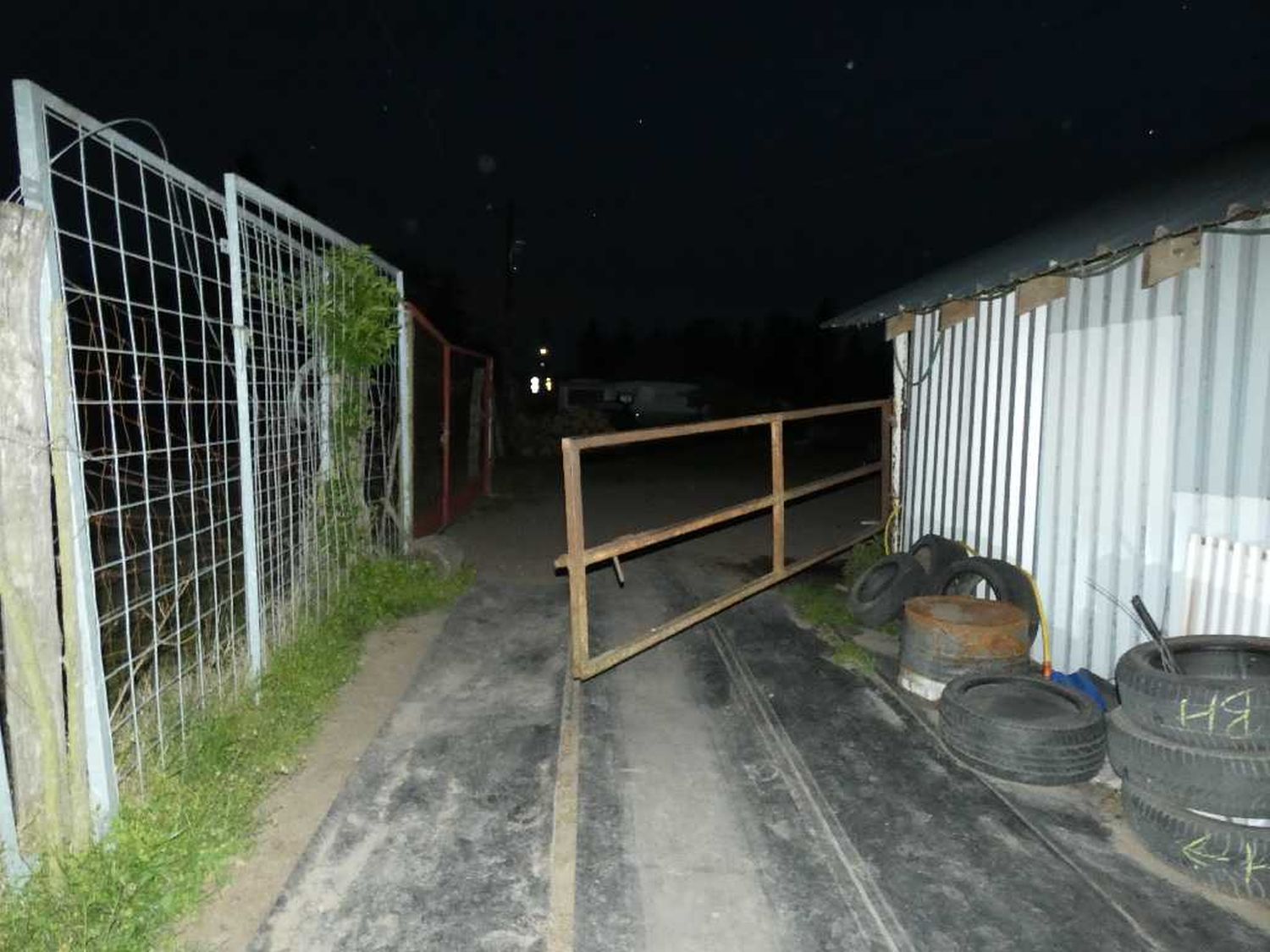 Háromszor próbálták meg ellopni ugyanazt a lovat a nógrádi tolvajok: az állat minden alkalommal hazaszökött