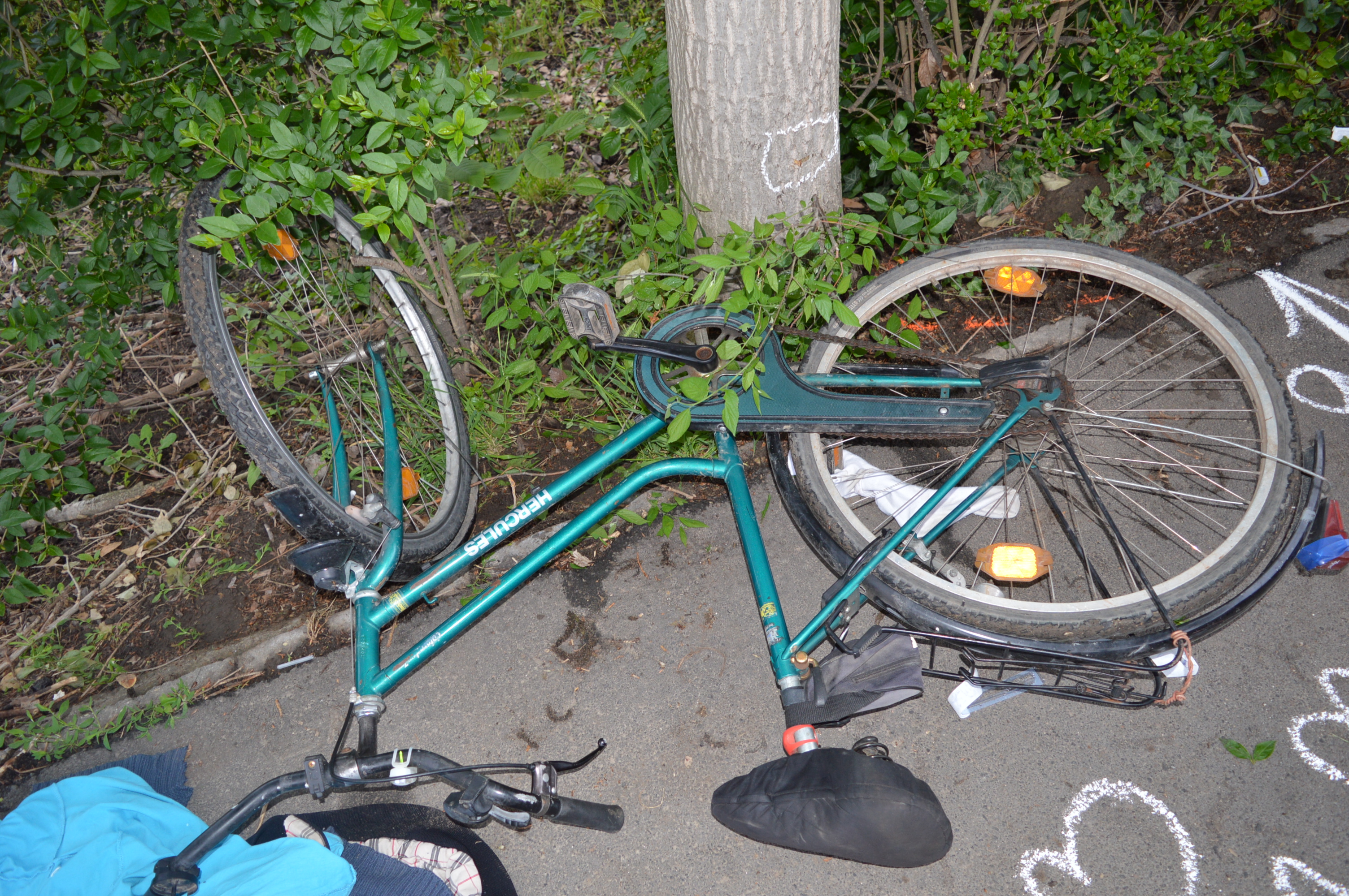 Részegen gurult fának a biciklis Orosházán - életveszélyesen megsérült -  Blikk