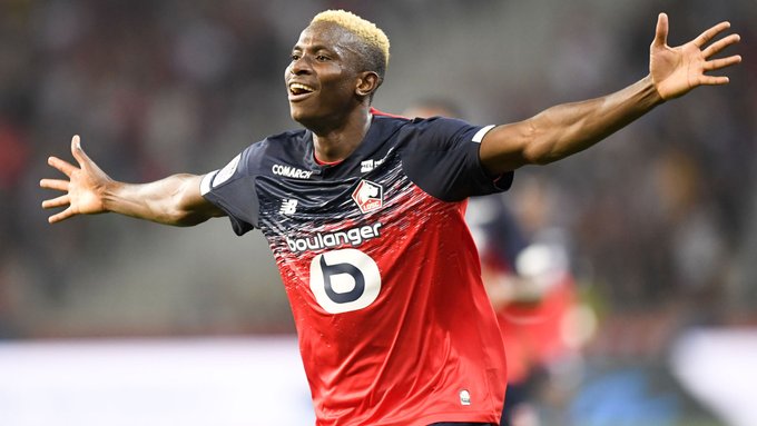 Victor Osimhen has grown into a massive player for both club and player (Lille/Twitter)