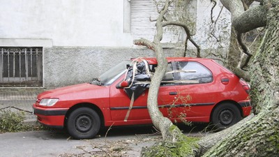 10 rad: jak się zachować podczas gwałtownej burzy?