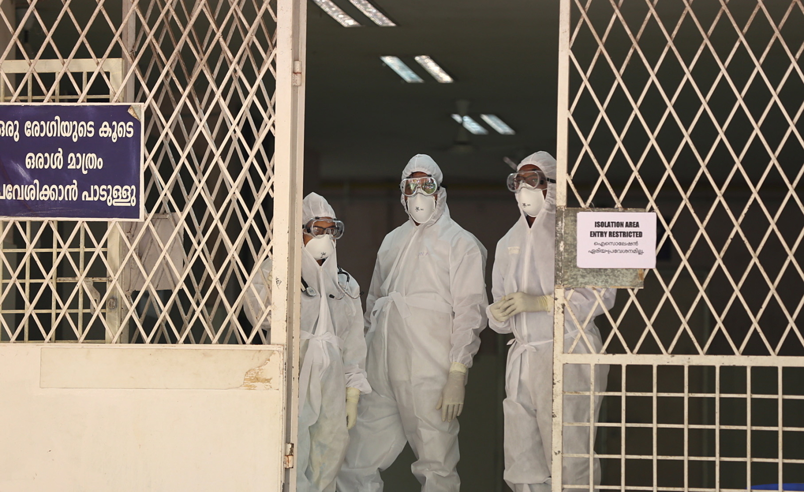 GROŹNY WIRUS NIPAH. NIE MA NA NIEGO SZCZEPIONKI