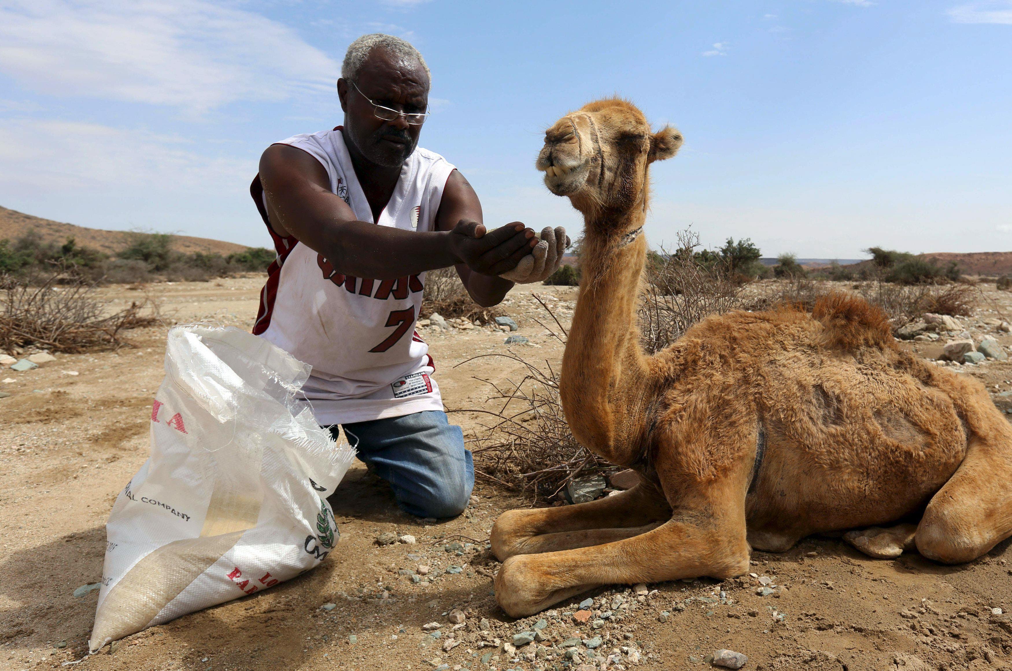 The Wider Image: Struggle for survival in Somaliland