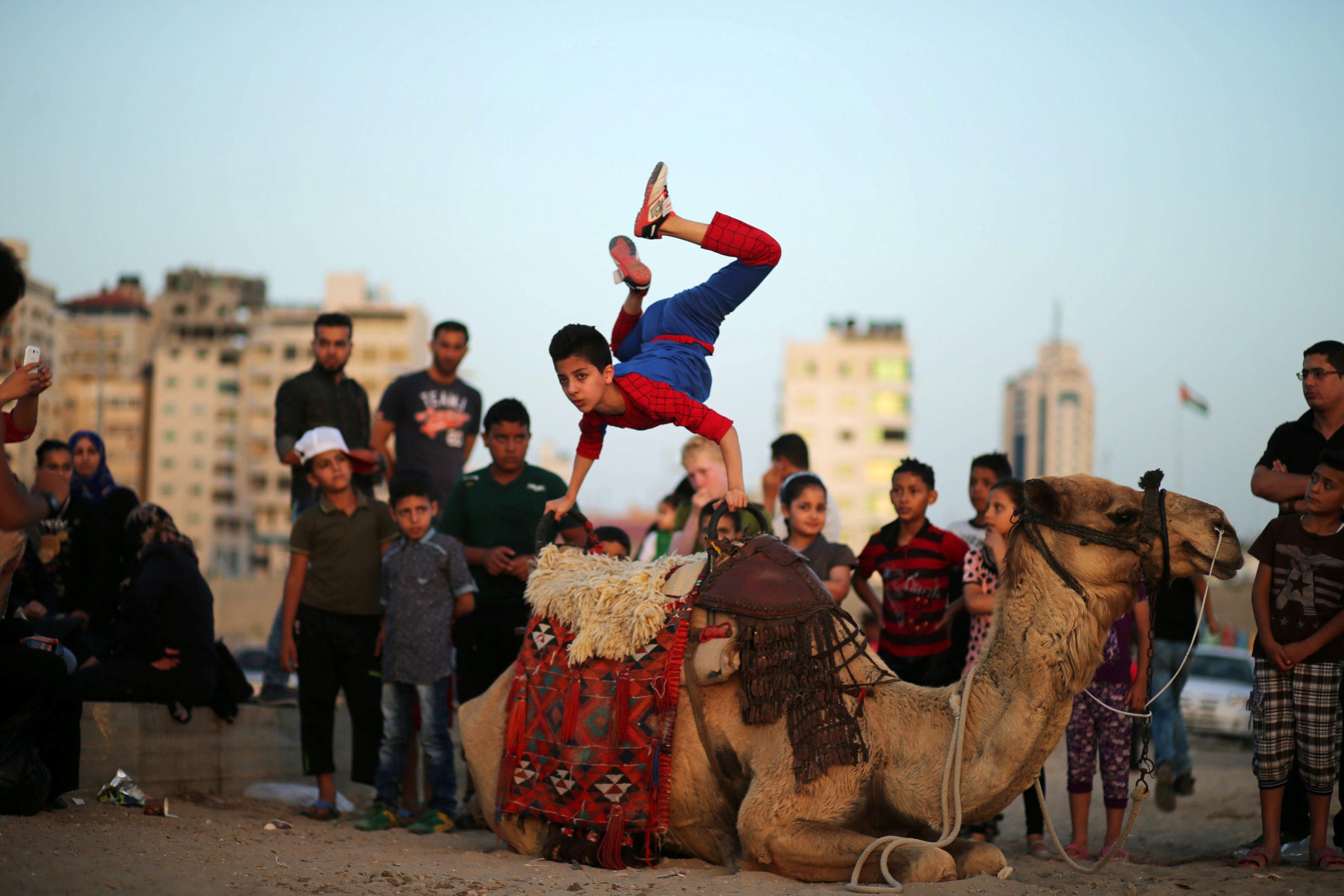 Palestinian boy Mohamad al-Sheikh, 12, who is nicknamed 'Spiderman' and hopes to break the Guinness 