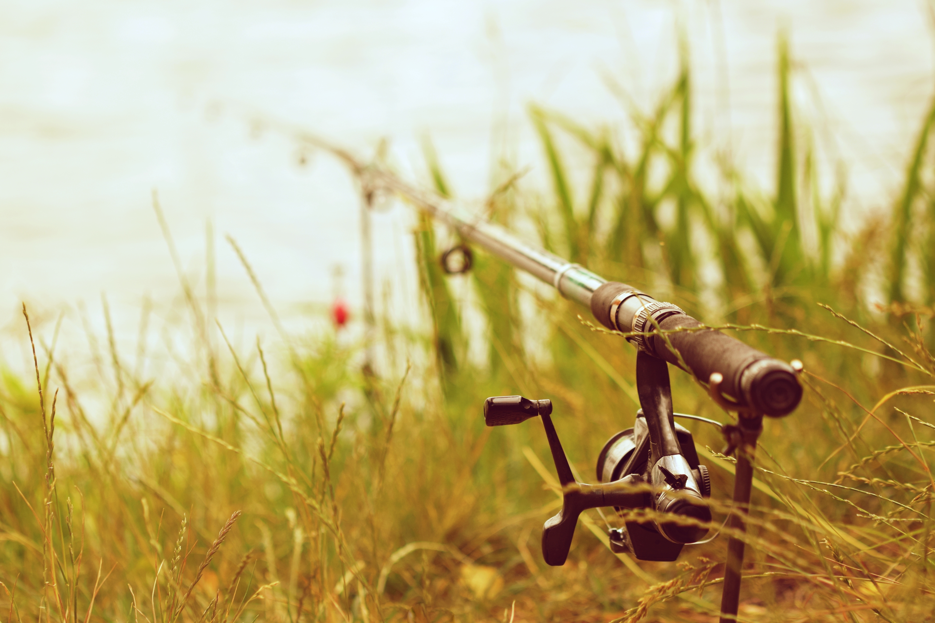 Kifogták a Körös matuzsálemi korú szörnyét – fotón a nyolcvankilós csoda