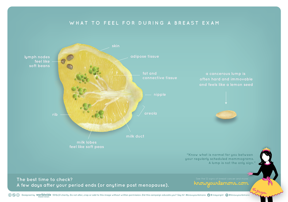 Kampania "Know Your Lemons"