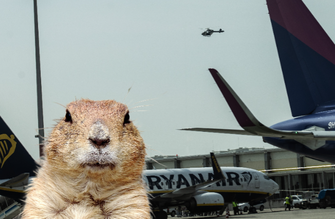 Ürge-helyzet: nem hiszi el mit műveltek a reptéren!