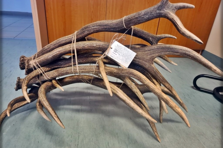 Üzent a rendőrség a kirándulóknak: fontos dologra hívták fel a figyelmet