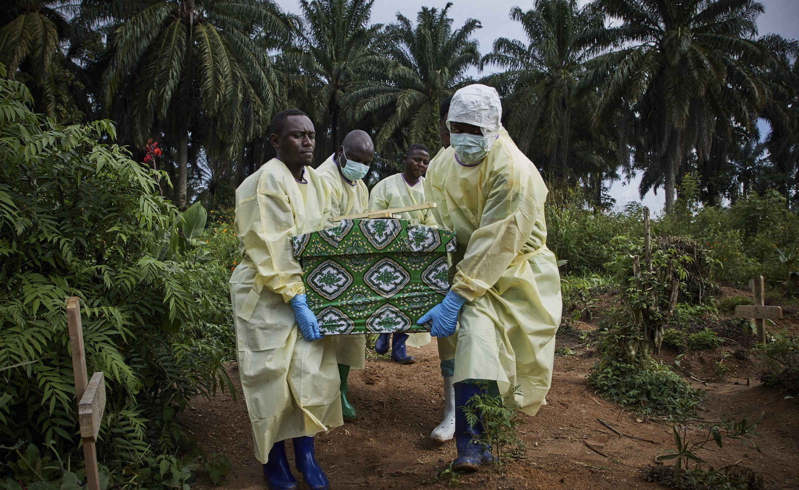Ebola szerzy się przez bezpośredni kontakt z krwią lub innymi płynami ustrojowymi zakażonych ludzi i zwierząt; wirus nie roznosi się drogą kropelkową. Jest w stanie przetrwać w organizmie nosiciela do roku i może zostać przeniesiony drogą płciową.