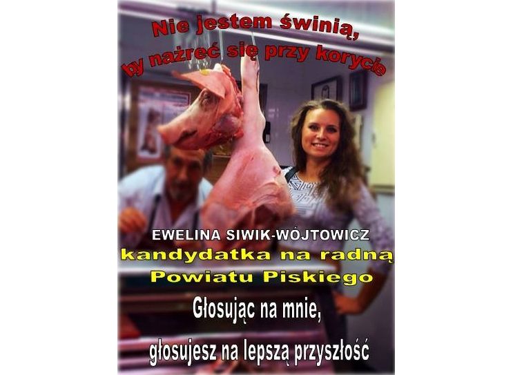 Ewelina Siwik-Wójtowicz, kandydatka na radną w powiecie piskim, chyba nie spodziewała się takiego odzewu na swój wyborczy plakat. Z oburzeniem odpisała krytykom: “Zdjęcie z martwą świnią było wykonane w Hiszpanii, na bazarze. Szukałam mięsa wieprzowego, żeby zrobić polskie dania (gołąbki, pyzy z mięsem, kotlety mielone). Ta świnka nie została przeze mnie zabita! Także nie rozumiem zarzutów pod moim adresem! Hasło, które umieściłam na plakacie, to nic innego jak typowa metafora. Ja politykiem nie jestem. Tym hasłem solidaryzuję się i tym samym utożsamiam z ludźmi zwykłymi, taka też jestem: prosta i swojska dziewczyna”.