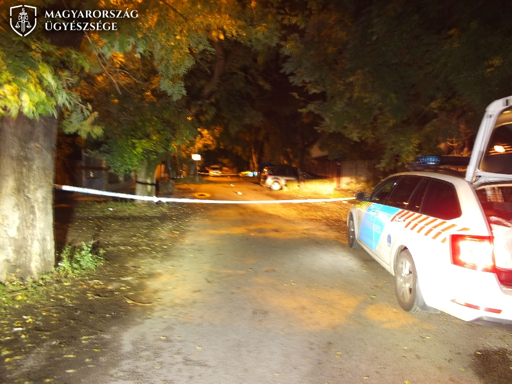 Gyomorforgatóan aljas vérengéz Csepelen: megkéseltek egy férfit, a kutyáját kivégezték: az elkövetők között két fiatalkorú is van... - fotók