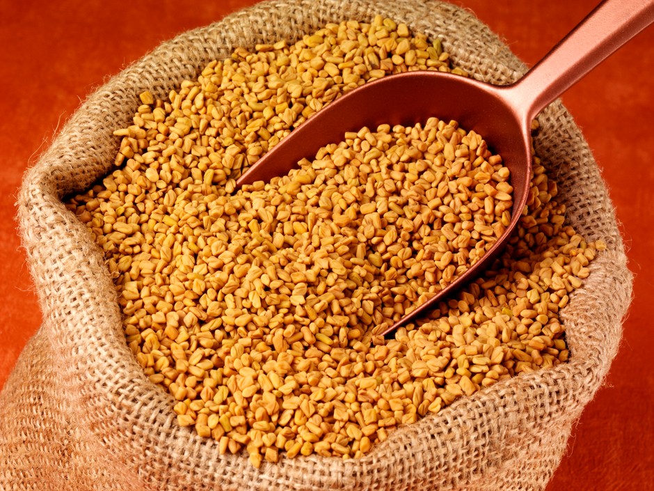 Kozieradka