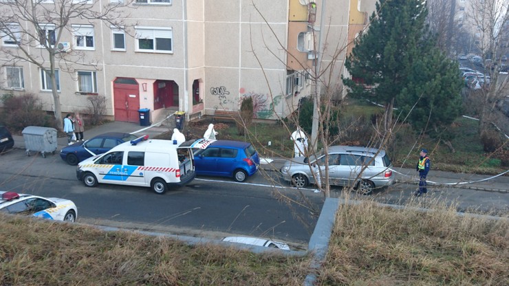 Hidegvérrel ölt Vivien exe.