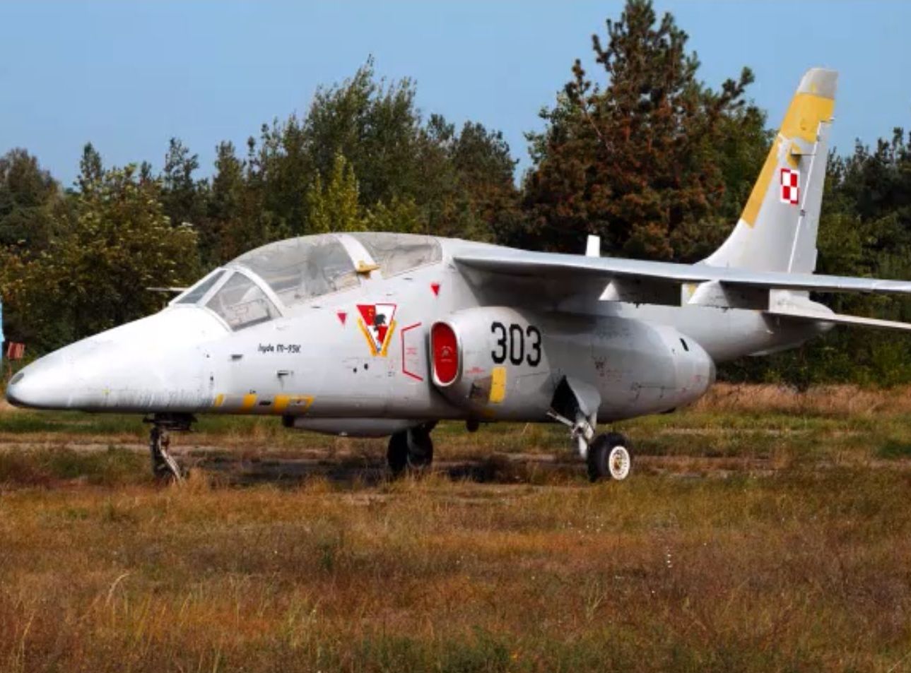 PZL I-22 Iryda