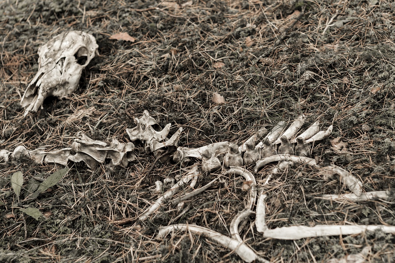 Eddig ismeretlen emberfaj maradványaira bukkantak Kínában