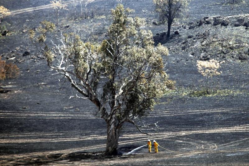 pożary w Australii 6 strażacy dogaszają busz