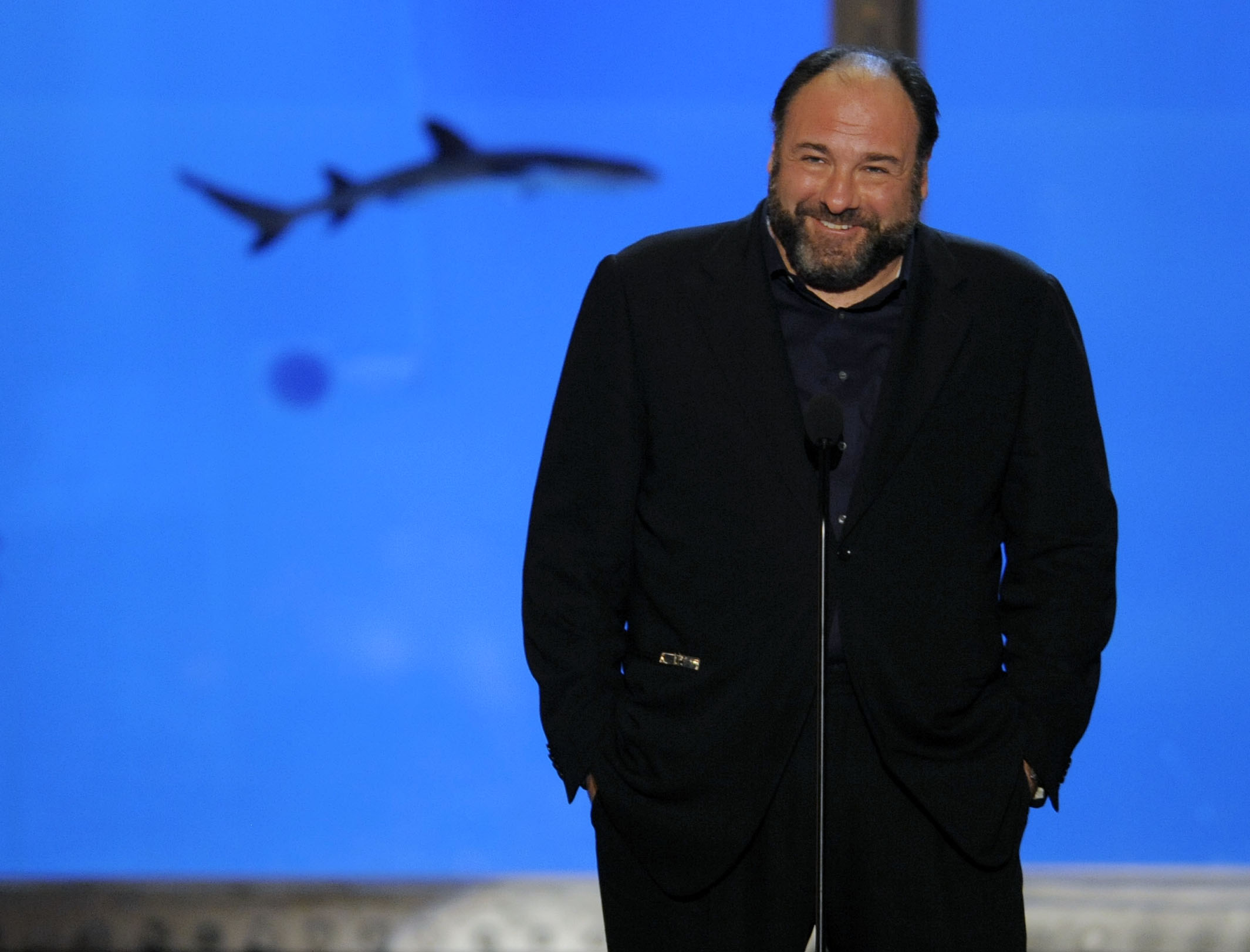 James Gandolfini w roku 2010