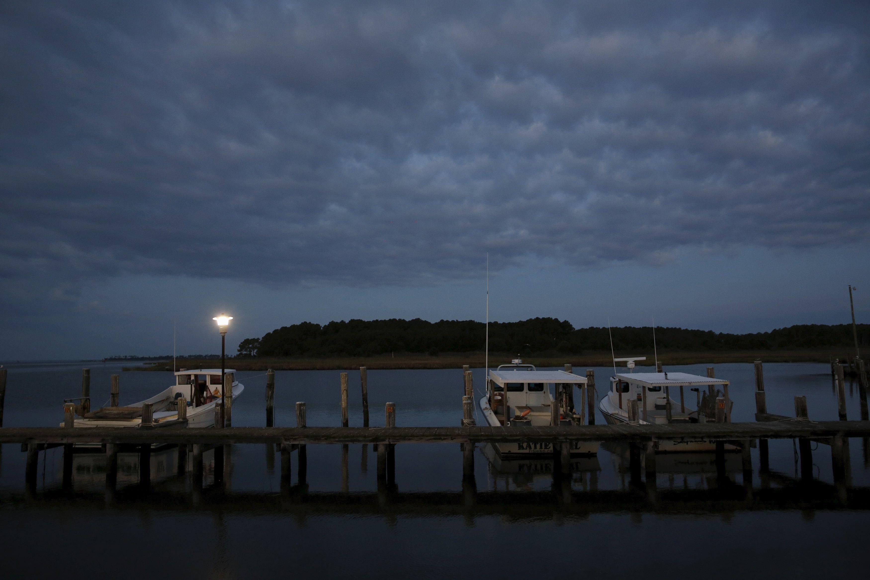 The Wider Image: Crab-Catching Blues