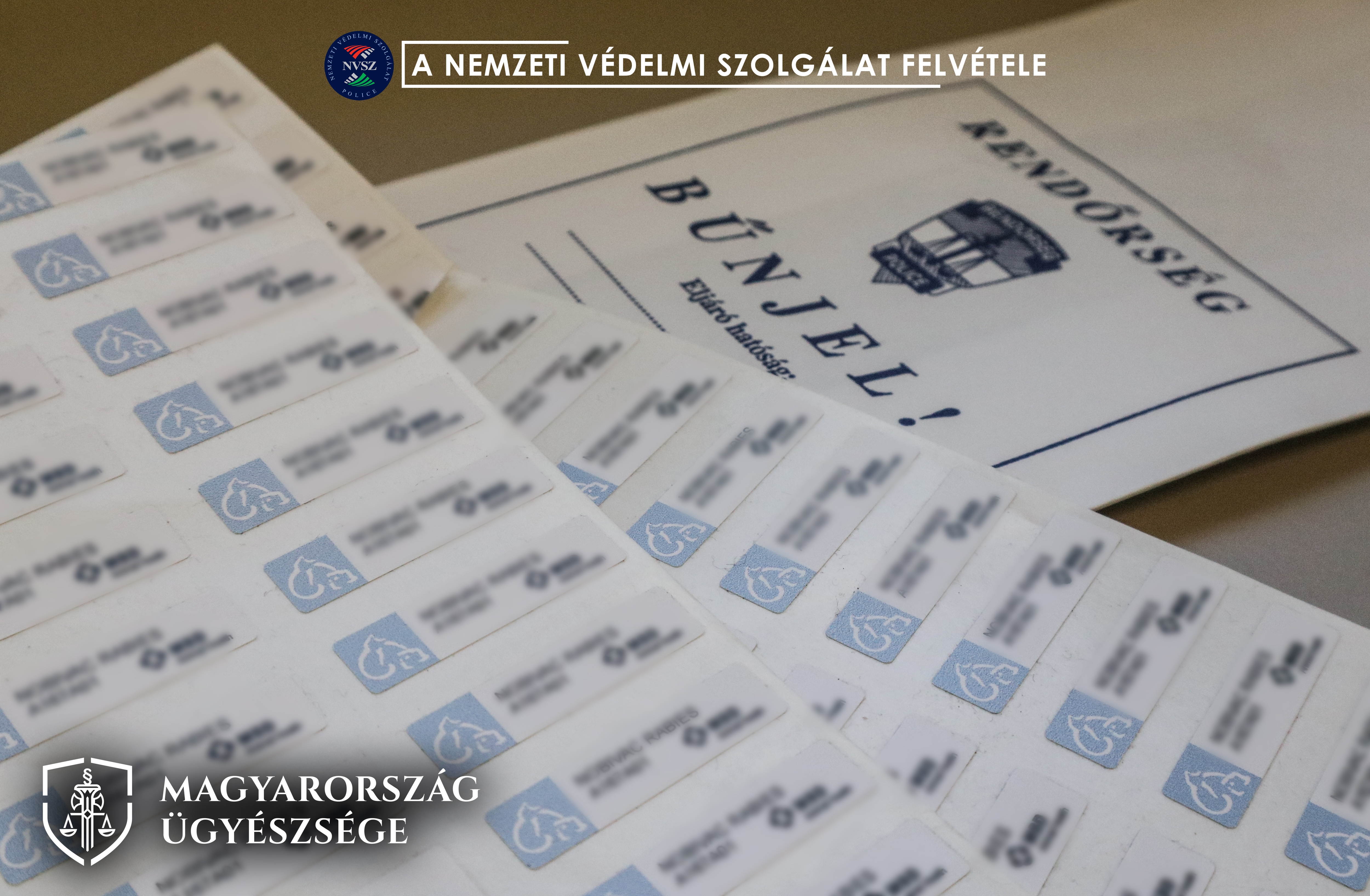 Vádat emeltek egy állatorvos és 5 társa ellen, akik hamis papírokkal szállítottak kiskutyákat