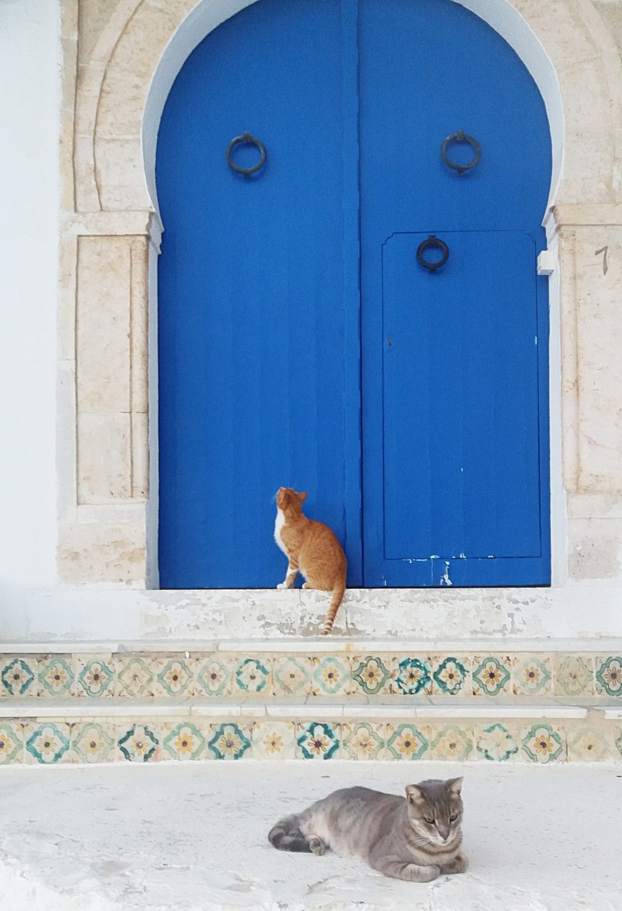Sidi Bou Said